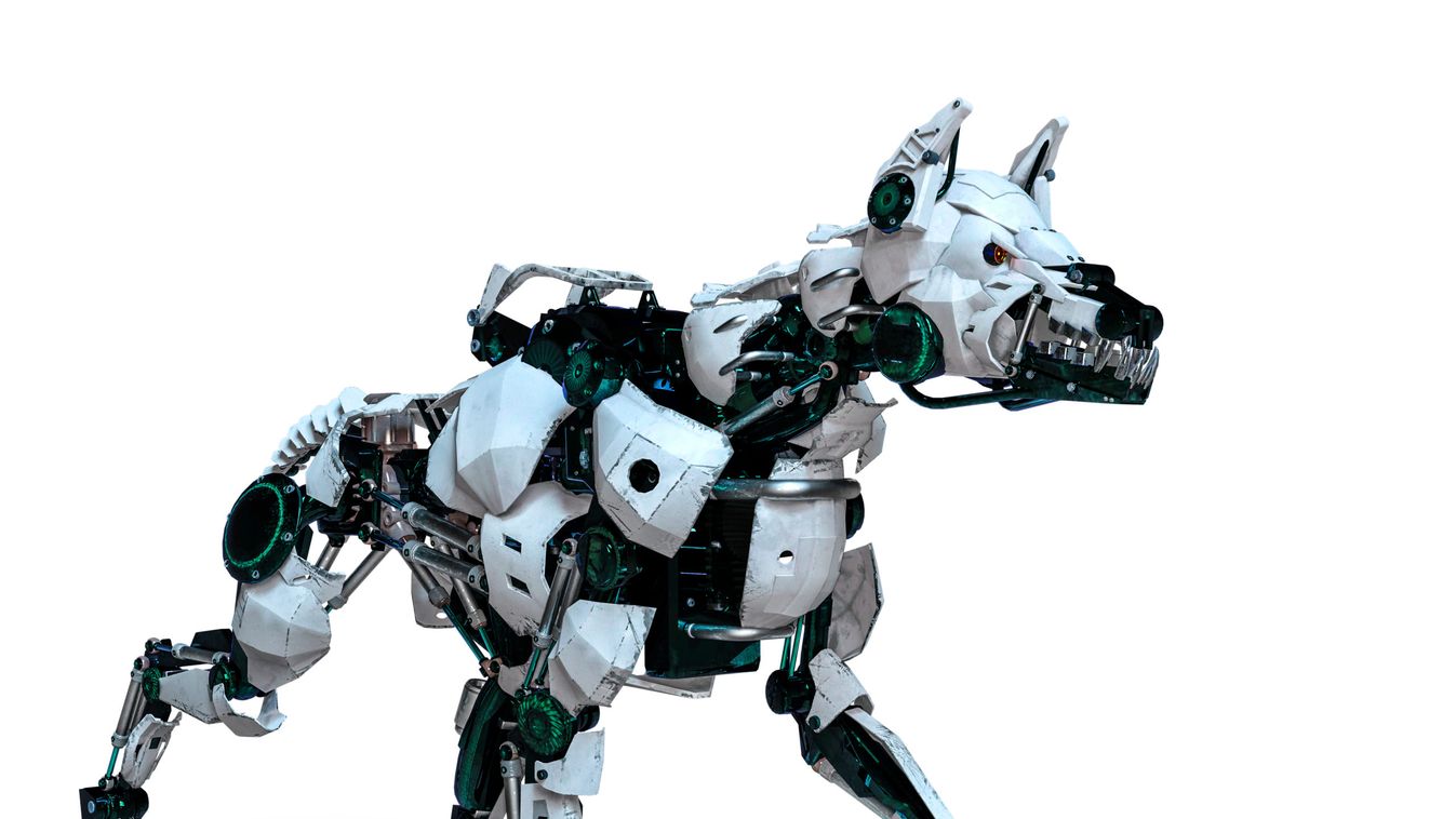 Puli helyett okos robotkutya tereli a nyájat (videó)