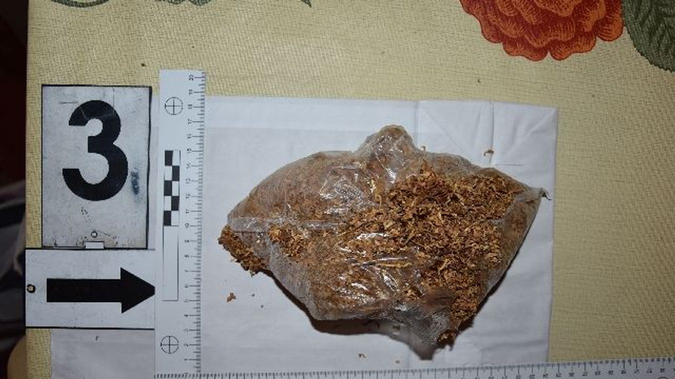 Több hónapos nyomozás végén csaptak le a szekszárdi drogdílerekre