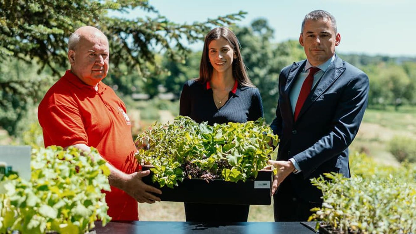 Zöldségpalántákkal segíti a rászorulókat a MATE
