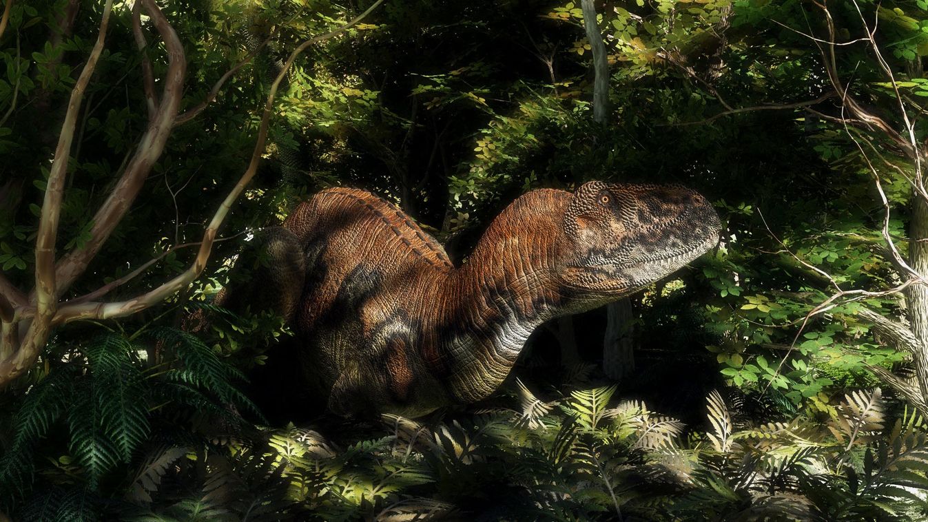 Eddig ismeretlen, buldogpofájú T. rex hasonmást találtak Egyiptomban