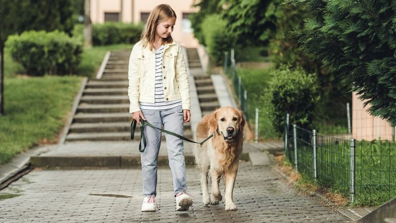 Délután elővehetjük az esernyőket