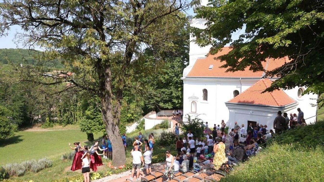Népszerűsítő videó készült az év fája verseny szekszárdi jelöltjéről