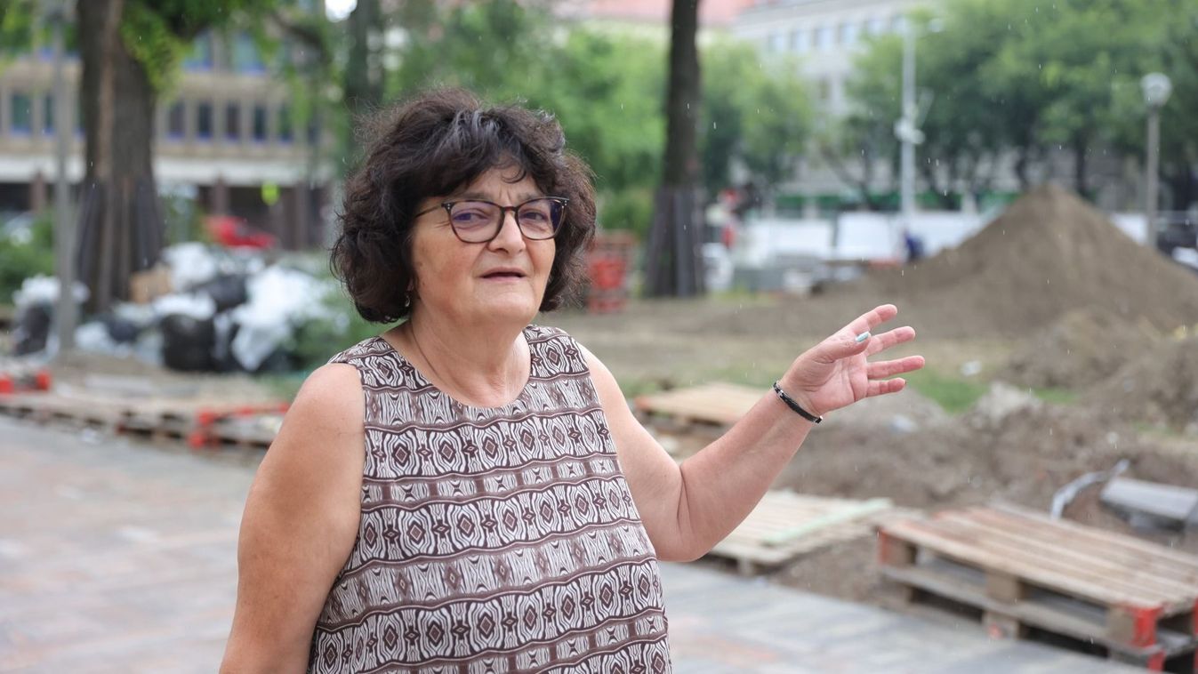 A Kölcsey lakótelepen hamar árnyékot adhatnak az új fák