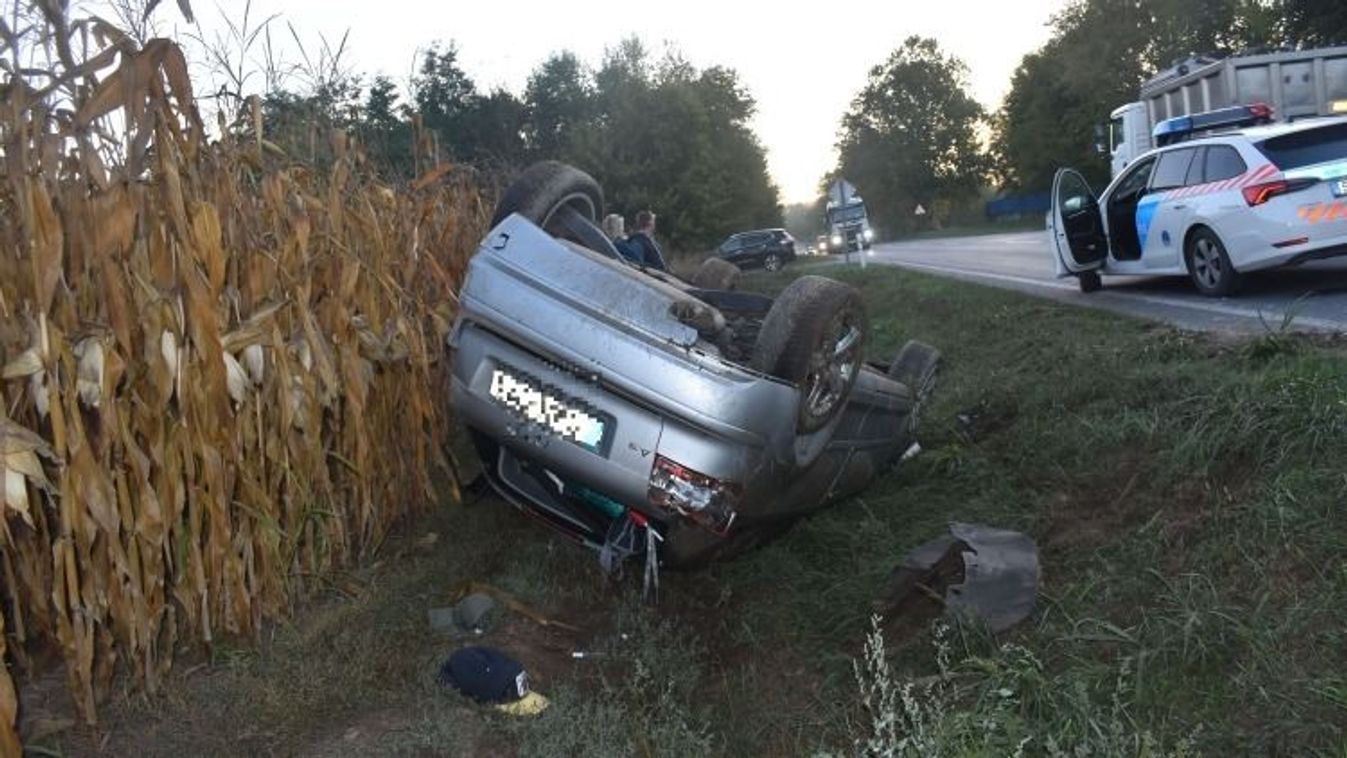 Az őz megúszta, az autó nem