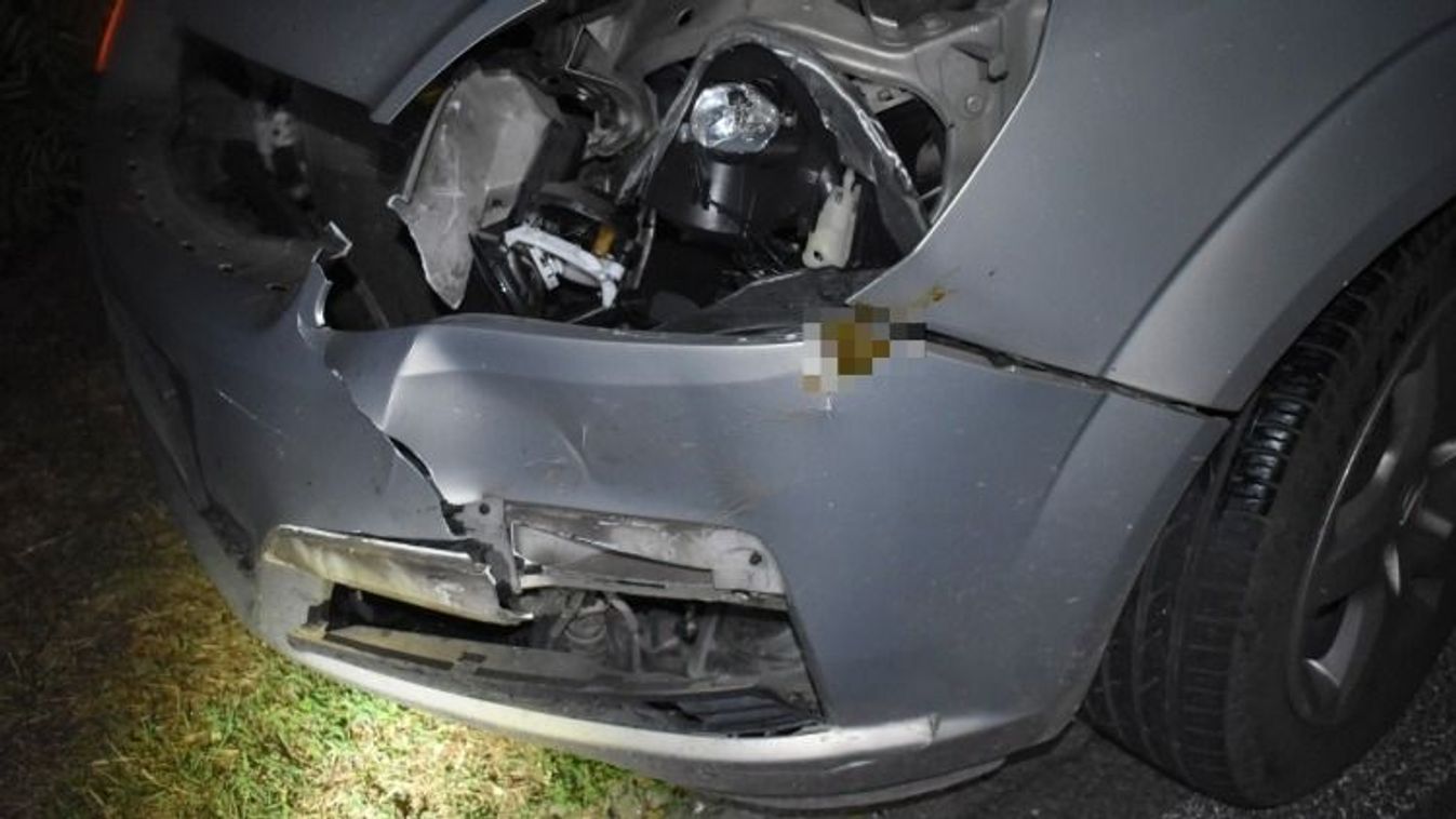 Az őz elpusztult, az autó anyagi kárral megúszta