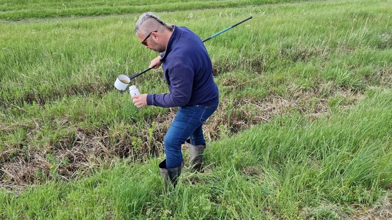 Szúnyogok tömegére számíthatunk idén