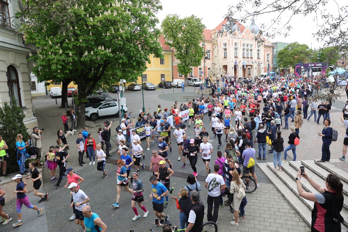 Idén tizenharmadik alkalommal rendezik meg a Borvidék Félmaratont