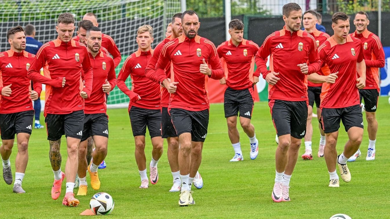 Ezt várják a korábbi válogatott játékosok Marco Rossi csapatától