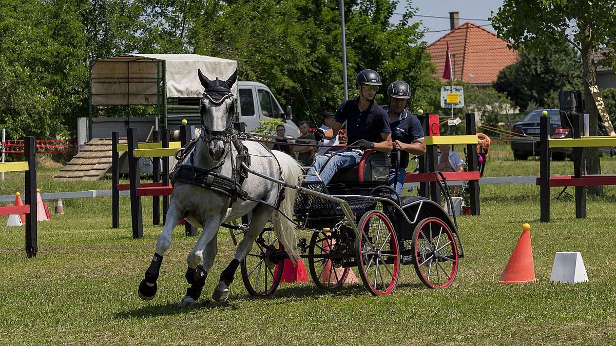 Közel hatvan fogat versengett az idei Mözsi Lovasnapokon