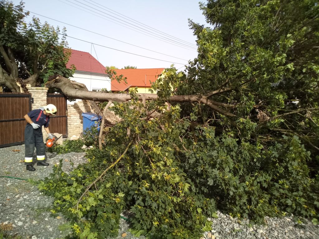 Fákat döntött a vasárnapi vihar Dombóváron