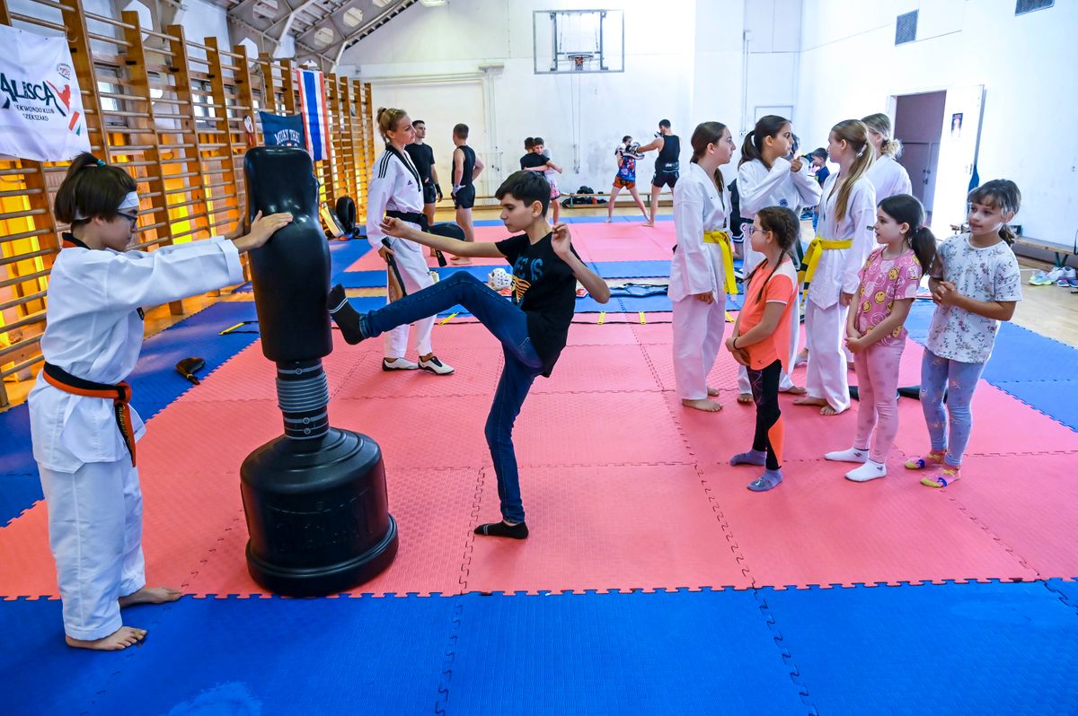 Huszonkét egyesület, köztük az Alisca Taekwondo vett részt a szekszárdi sportágválasztó napon