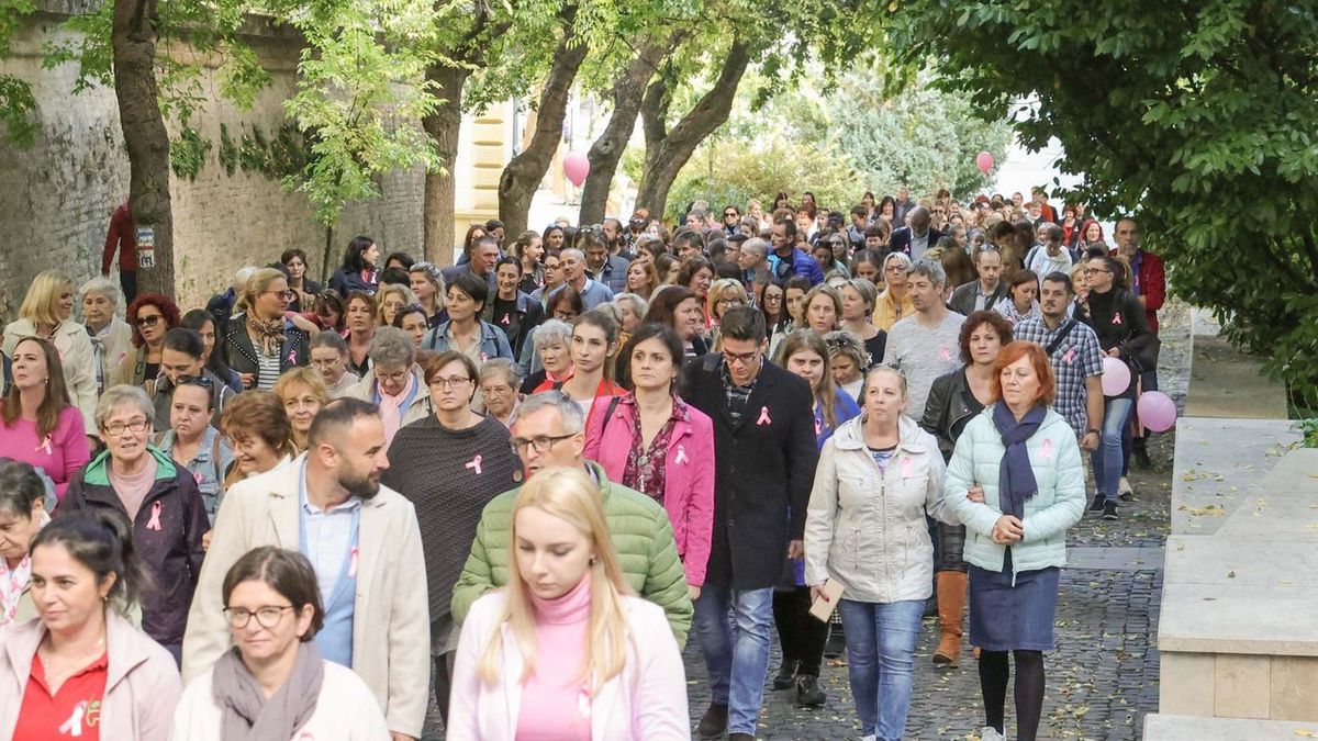 A mellrák elleni küzdelem jegyében idén ismét lesz figyelemfelhívó séta. A megelőzés egyik eszköze a mammográfia