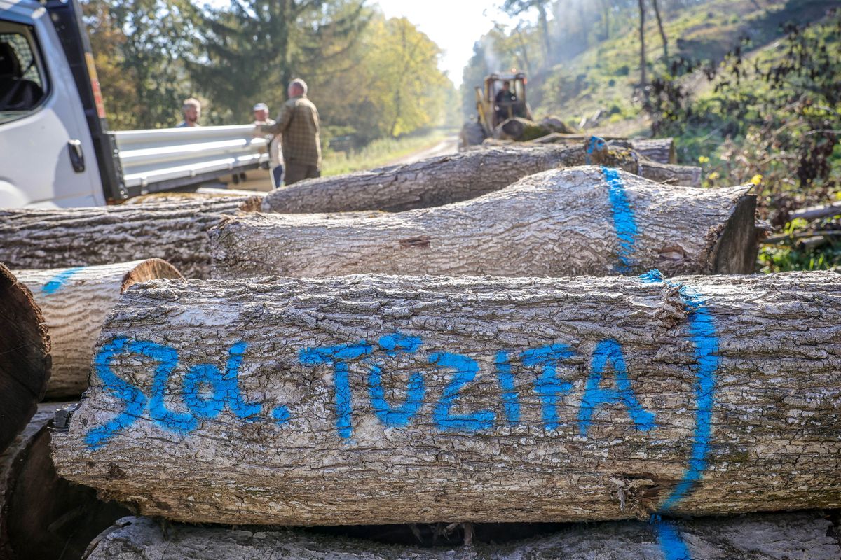 A szociális tűzifa program több tízezer magyar családnak jelent segítséget a fűtési szezonban