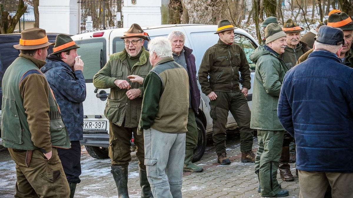 A vadkárok enyhítése céljából szervezett terelővadászatoknak komoly hagyományuk van Szekszárdon