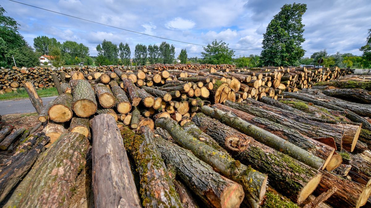 Kölesdd, szociális tűzifa, rászoruló, önkormányzat