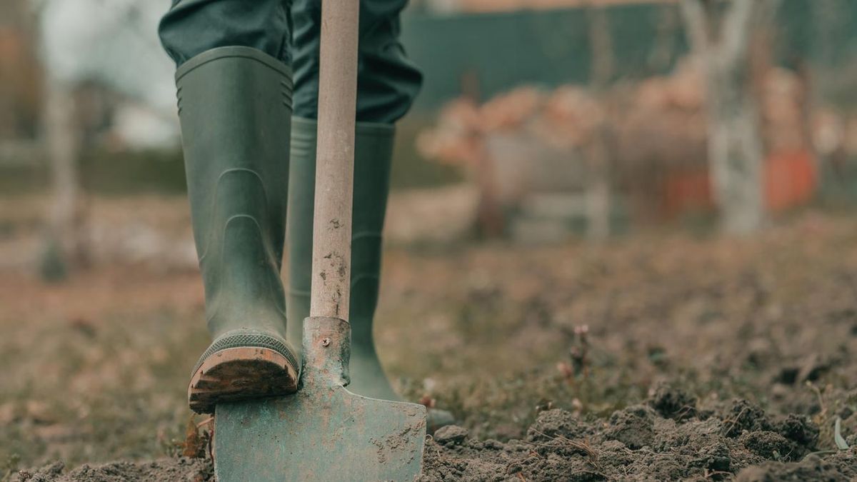 Novemberi teendők között előkelő helyet foglal el a kiskert felásása