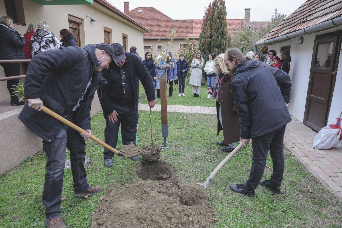 Dr. Varga István és Oroszi Csaba ültette el a fákat a RÉV Szenvedélybeteg-segítő Szolgálat udvarán