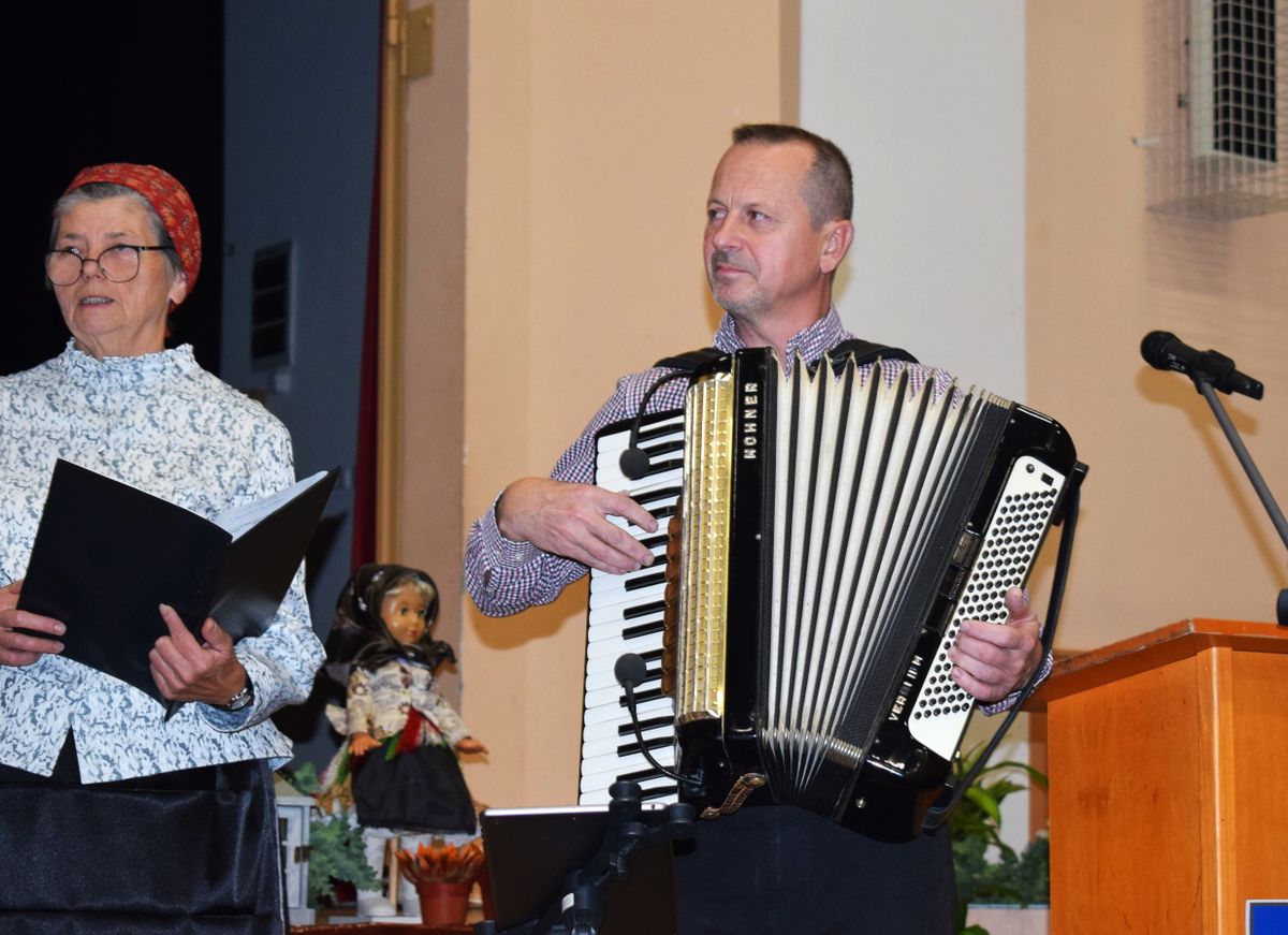 Kreatív szárazépítő a tangóharmonikás