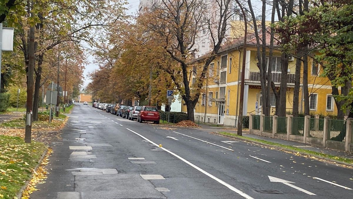 Óvatosan közlekedjen a szekszárdi Mészáros Lázár utca környékén!