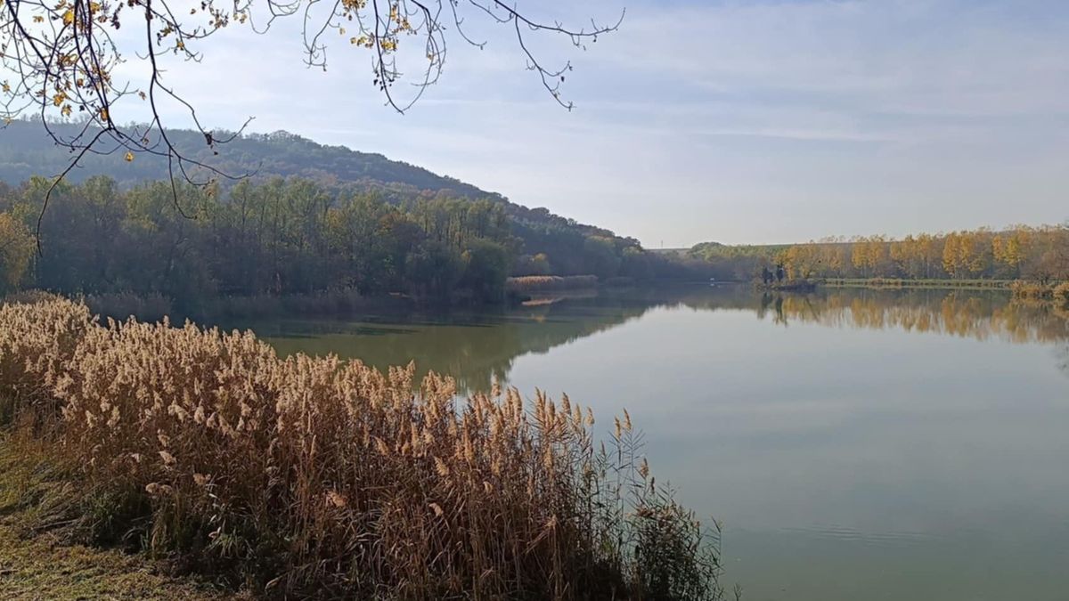 Mostanra bőven van víz a Sötétvölgyi-tó medrében. A szakértő további utánpótlásra számít