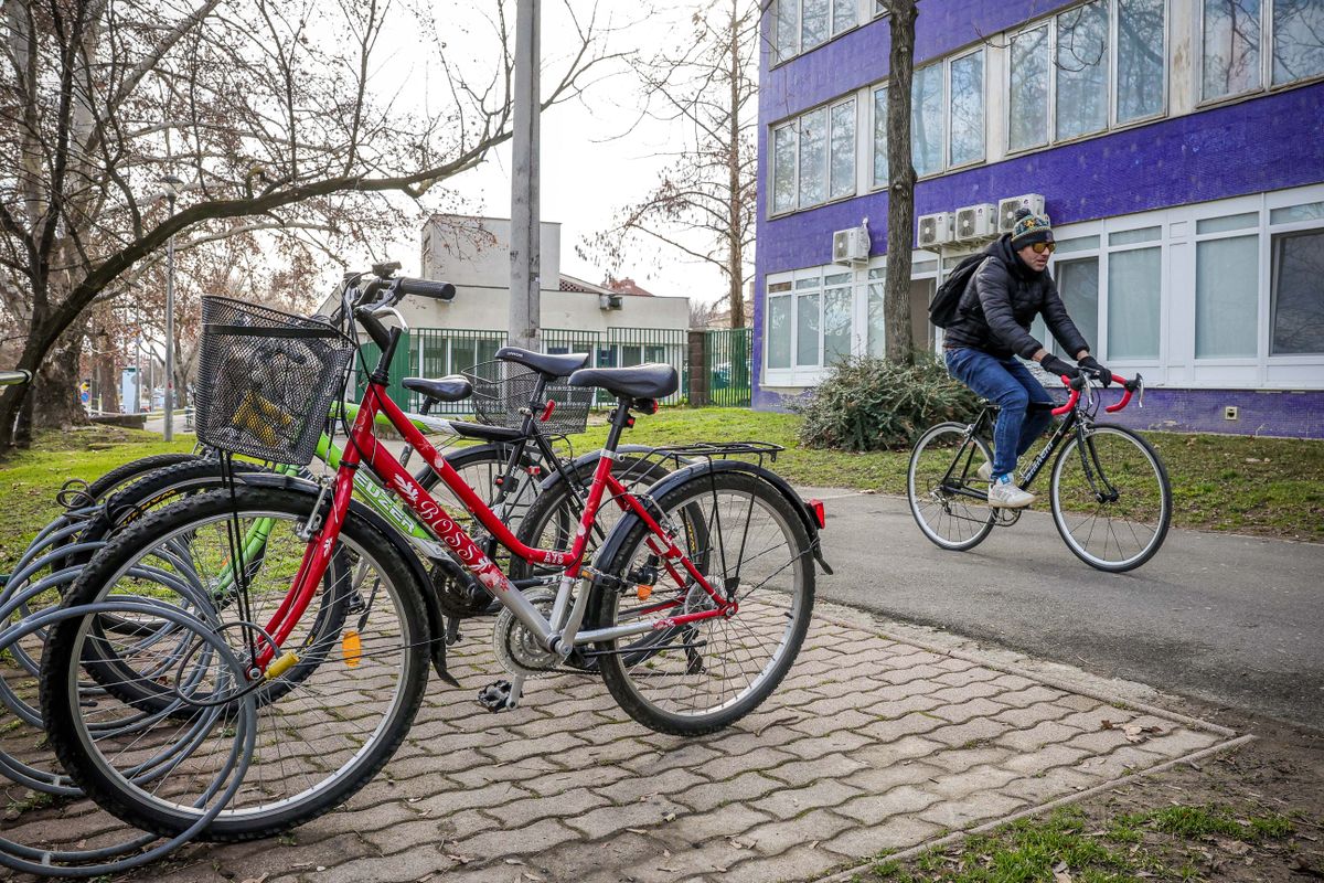 Bevezetnék a bringás jogsit, a gyalogosok közül sokan örülnének ennek