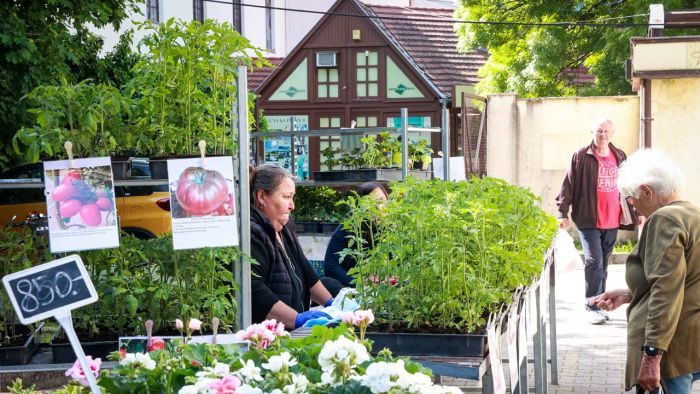 Kertészkedésre invitál a szekszárdi piac kínálata