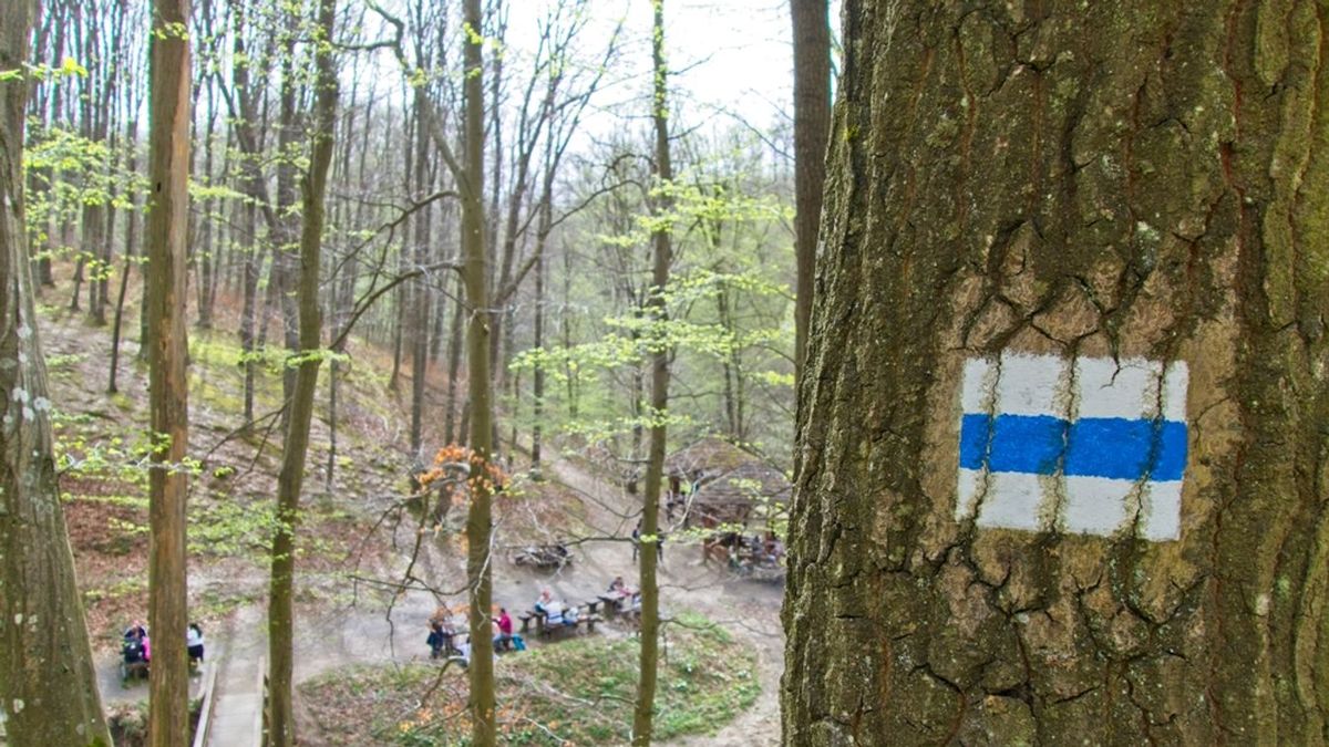 Itt a Sötétvölgynél tévedt el a fiú, akit rendőrök mentettek meg