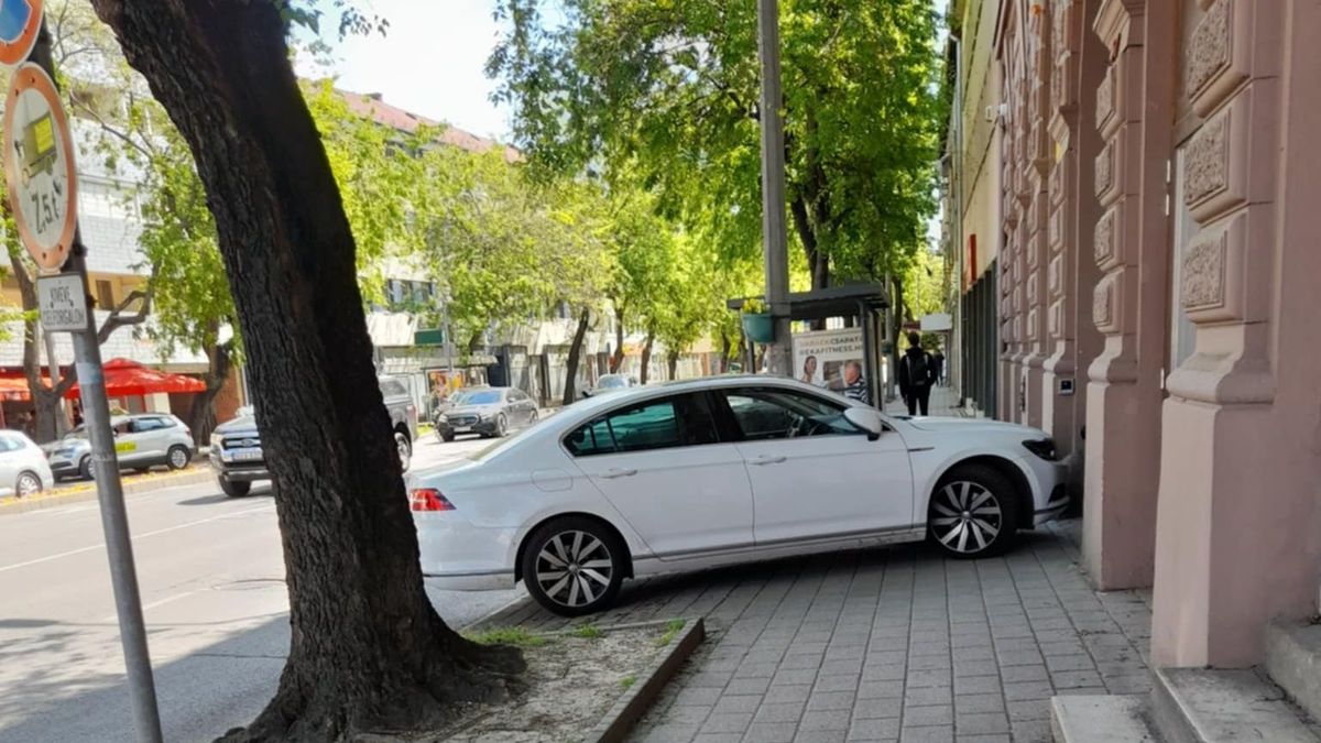 pofátlanság