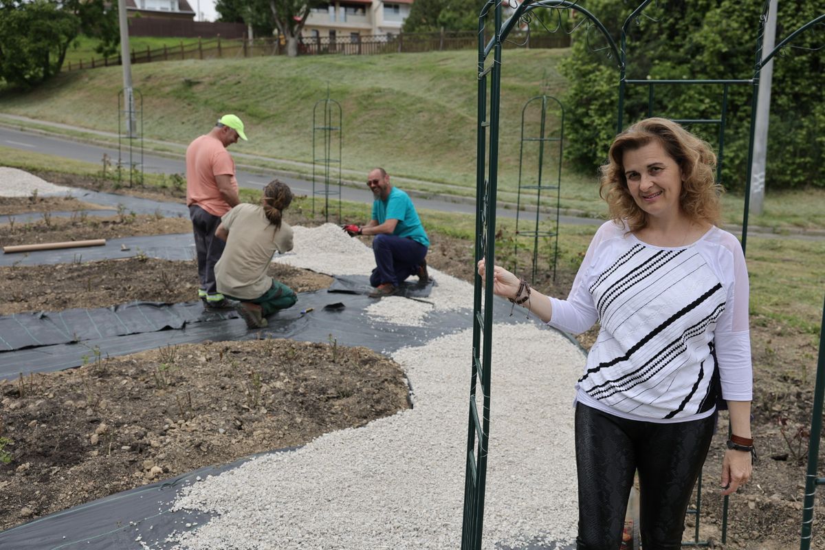 A szekszárdi rózskert szinte már teljesen elkészült