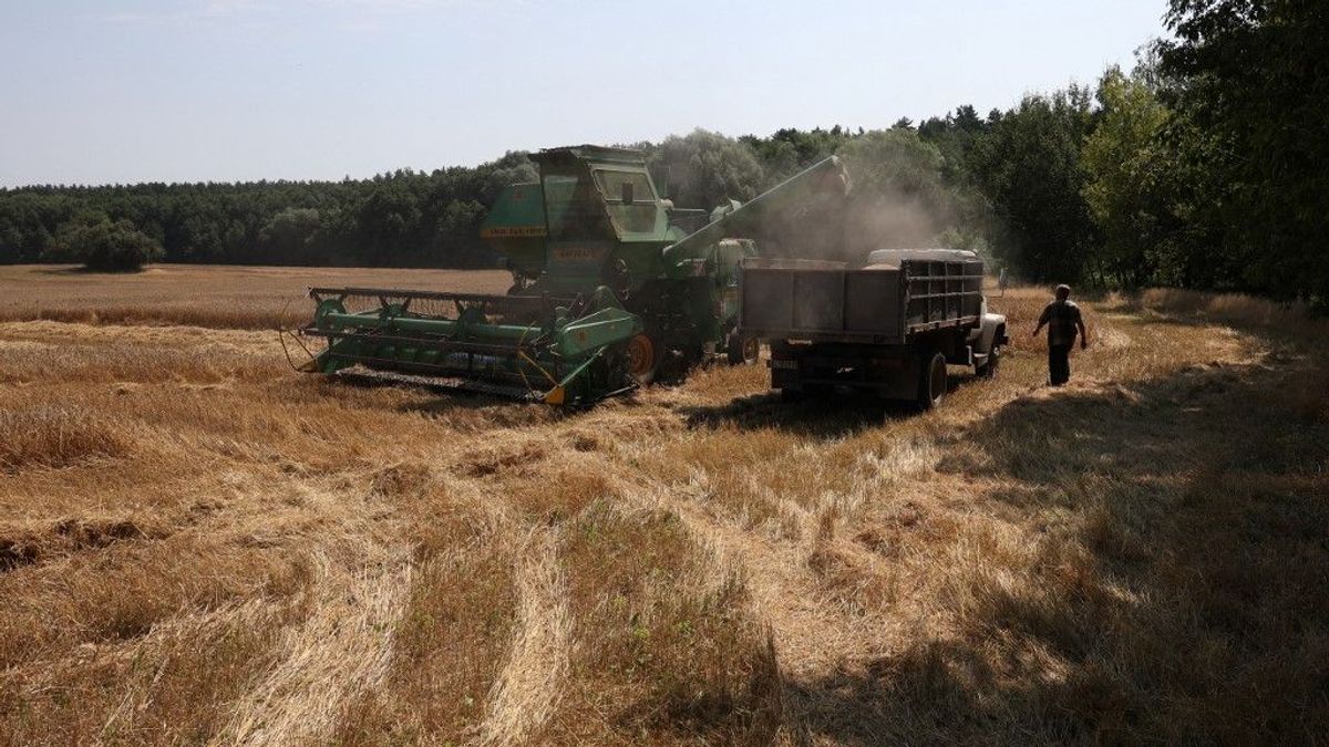 Továbbra sem engedi be Magyarország az ukrán mezőgazdasági termékeket (videó)