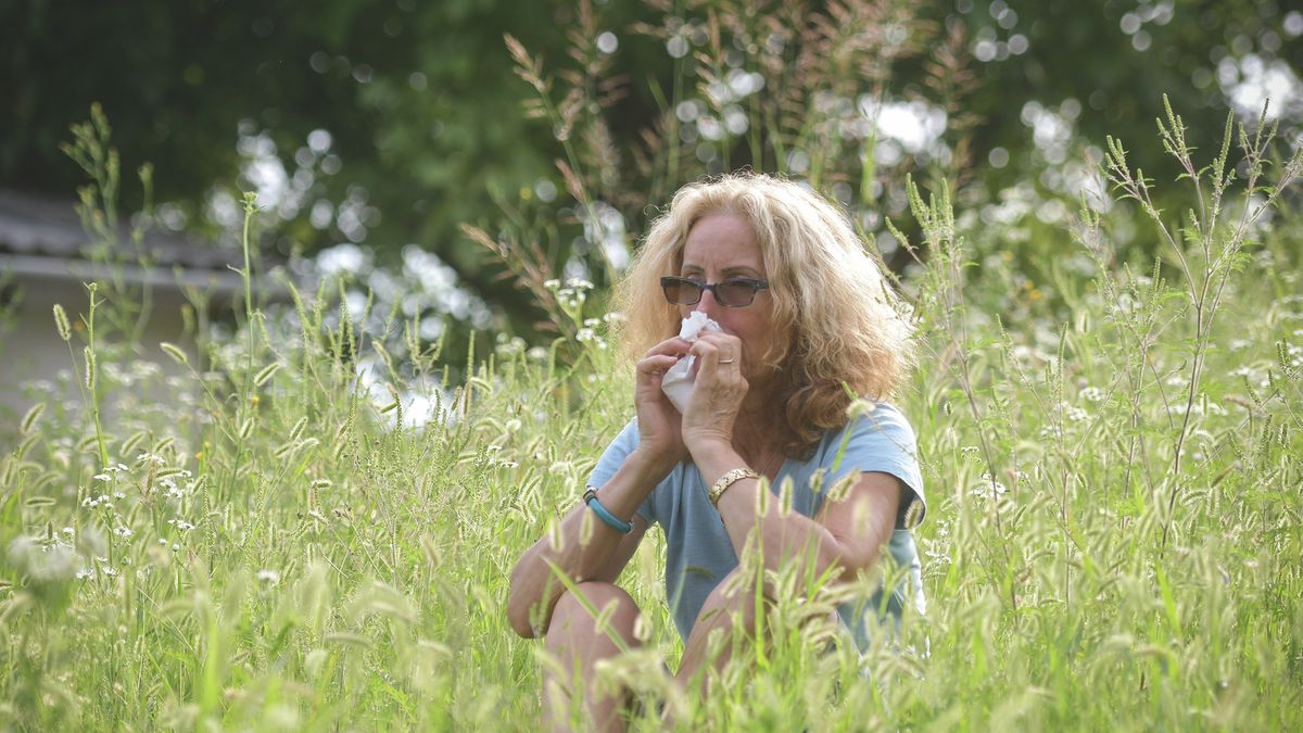 Ez nem jó hír: emelkedik a pollen mennyisége a levegőben, pedig már így is magas