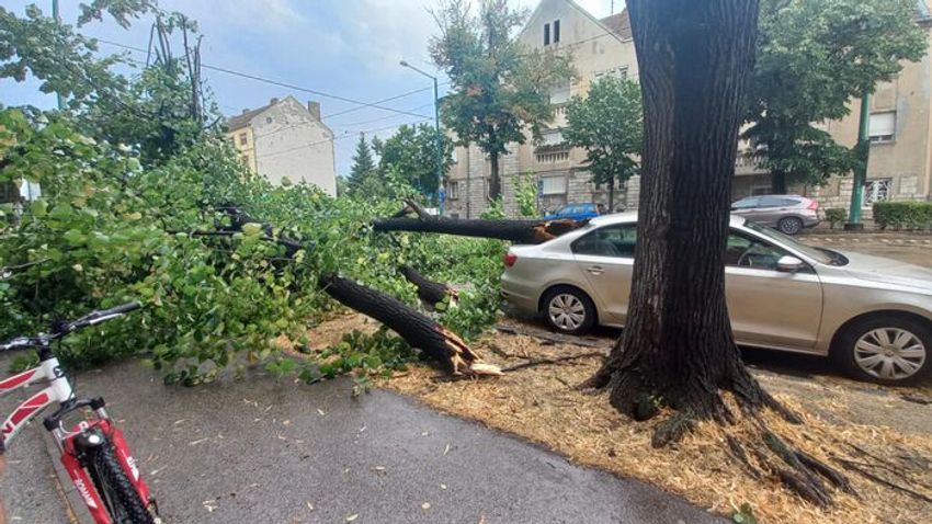 Szegedet nem kímélte a múlt heti vihar