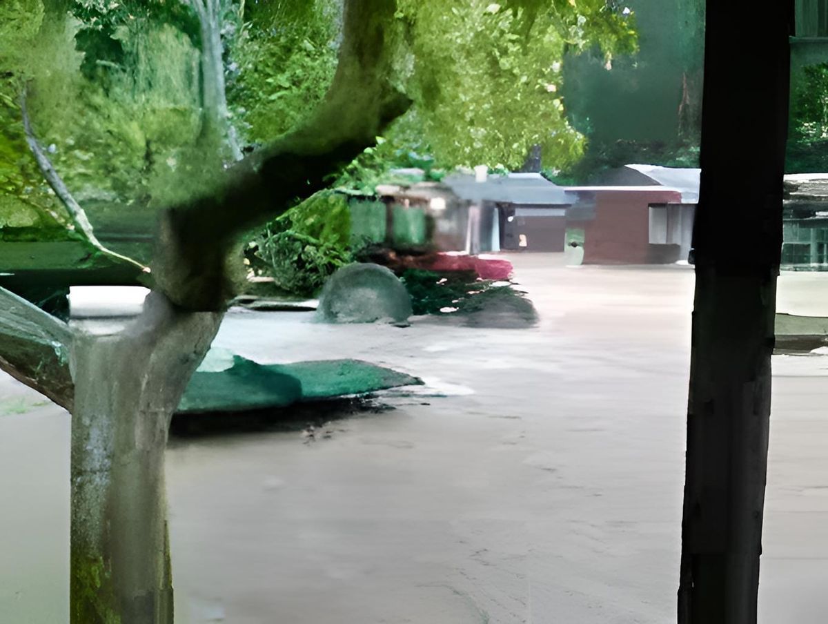 Traktor mentette a gyerekeket a sötétvölgyi villámárvíz idején