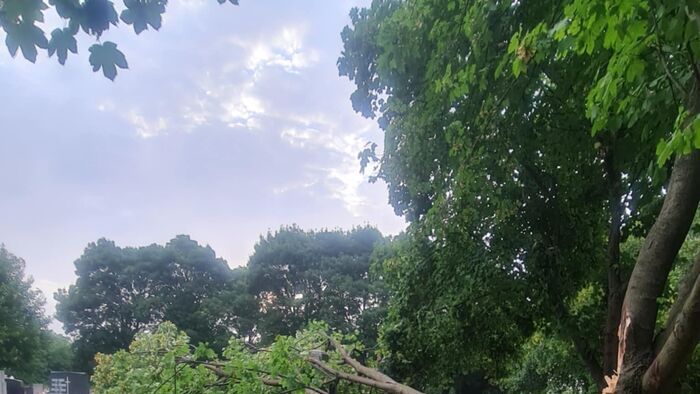 Károkat okozott a vihar az alsóvárosi temetőben