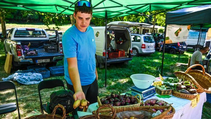 A kánikulában is népszerű volt a Völgy piac