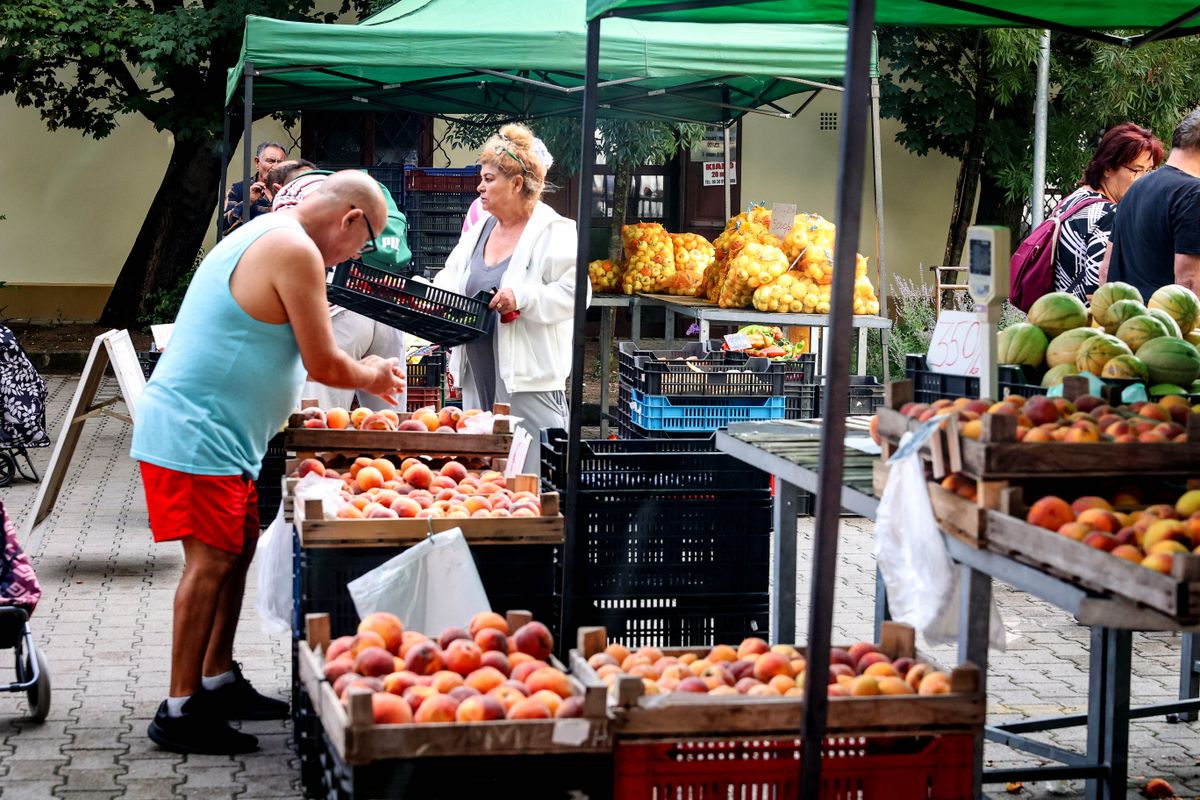 barackból is volt bőven a szekszárdi piacon