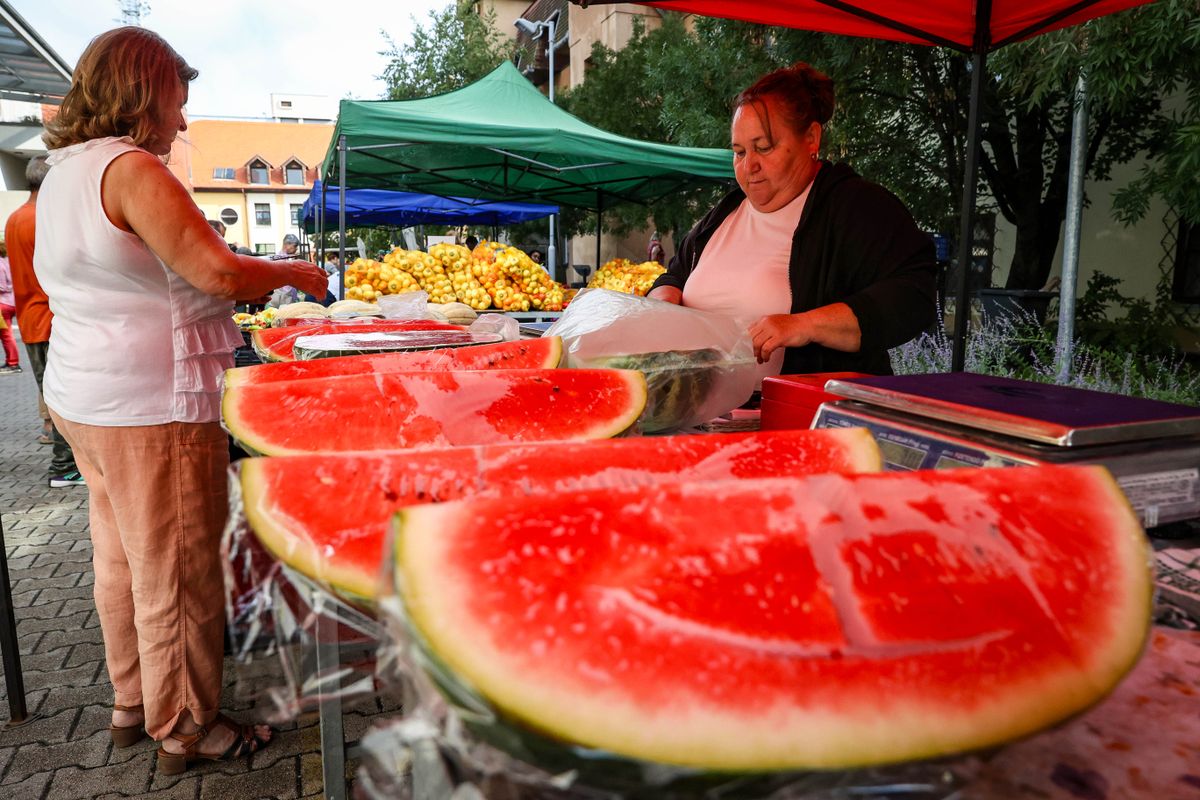 dinnye kilójáért 300 forintot kértek