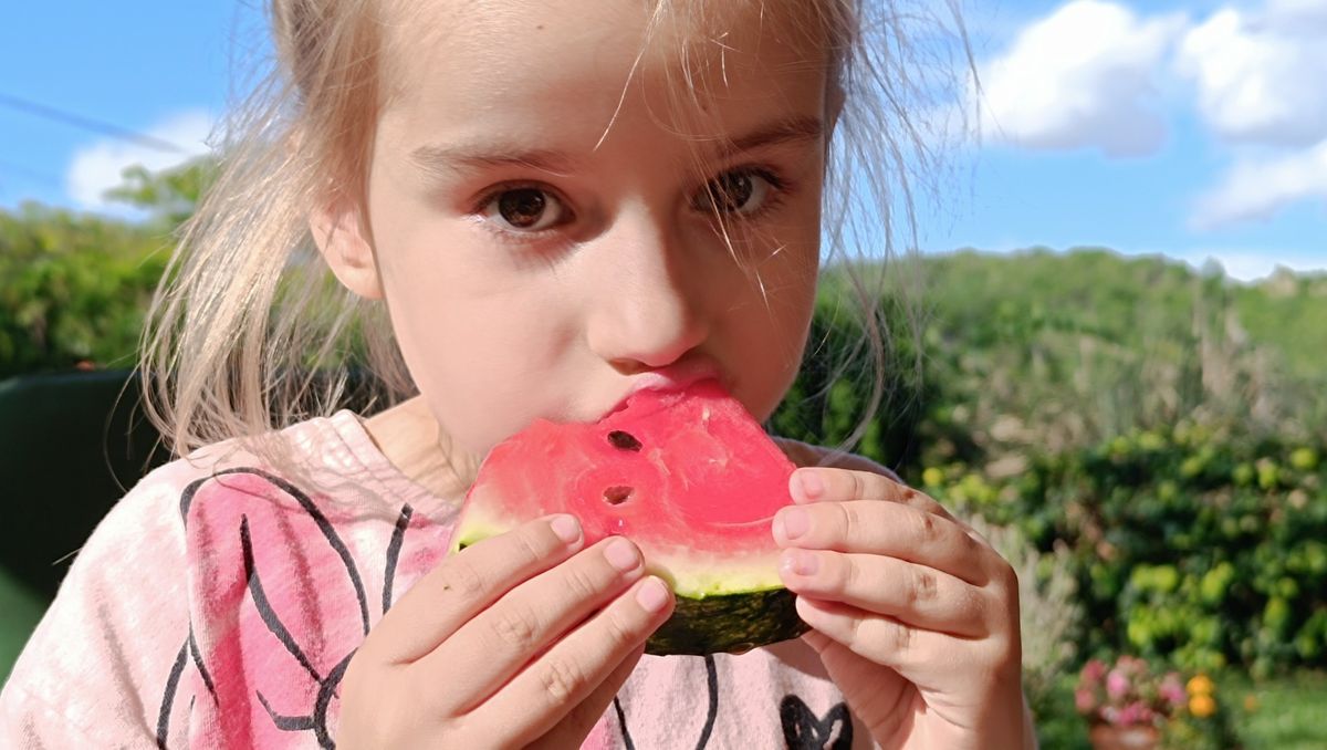 A dinnye szezonja szeptemberben véget ér