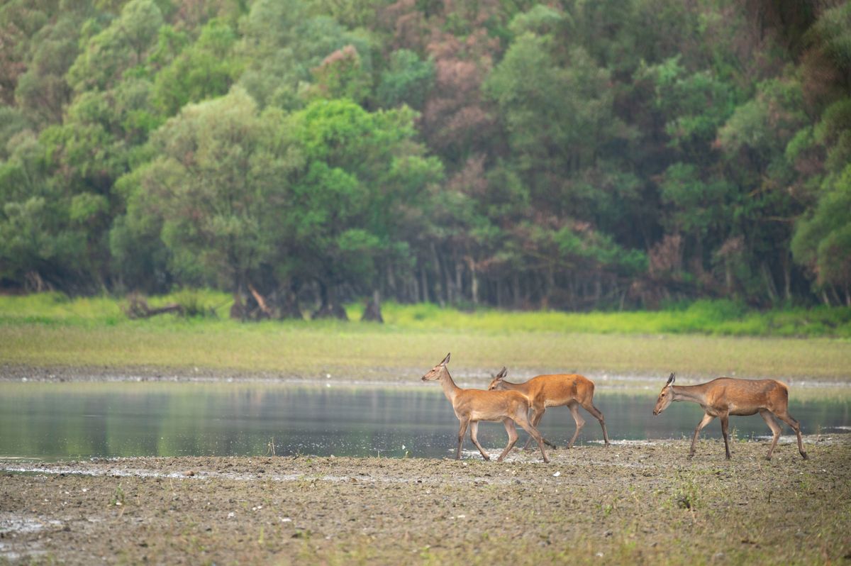 Kirándulótippek az őszi hétvégére.