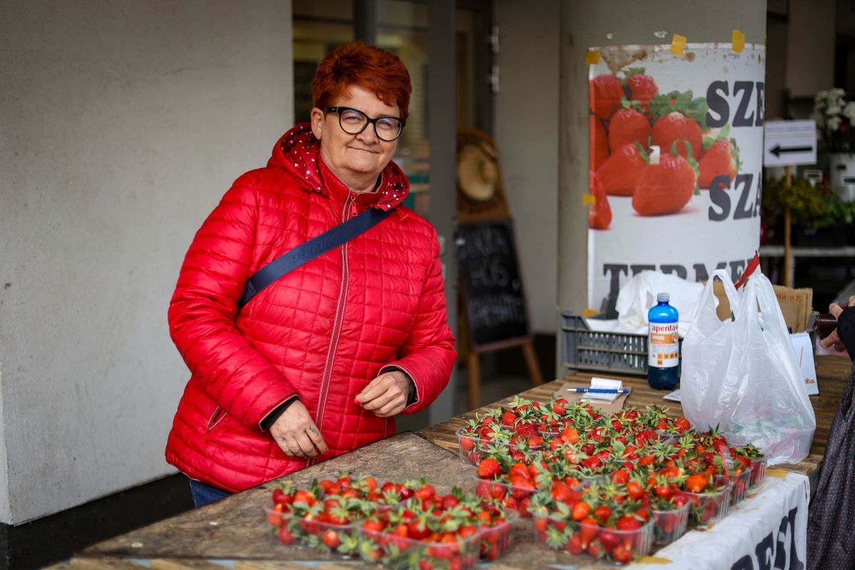 Fóliás eperből is a hazai az igazi, már van belőle