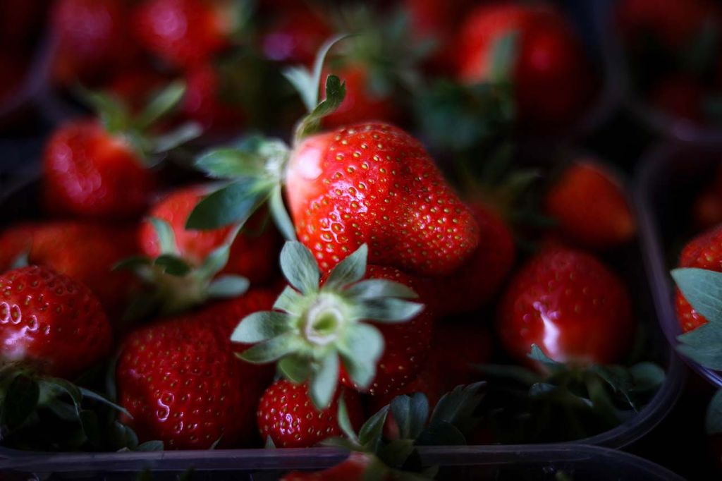 Fóliás eperből is a hazai az igazi, már van belőle