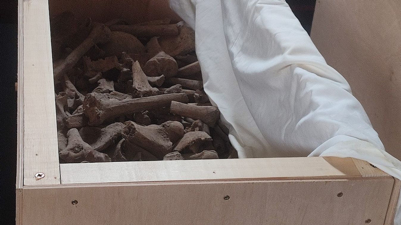Mintegy negyven ember földi maradványait temetik újra Bátán – a koporsókat már...